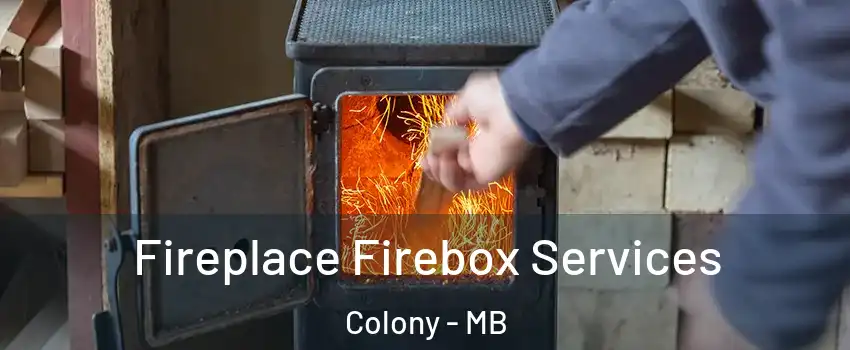  Fireplace Firebox Services Colony - MB