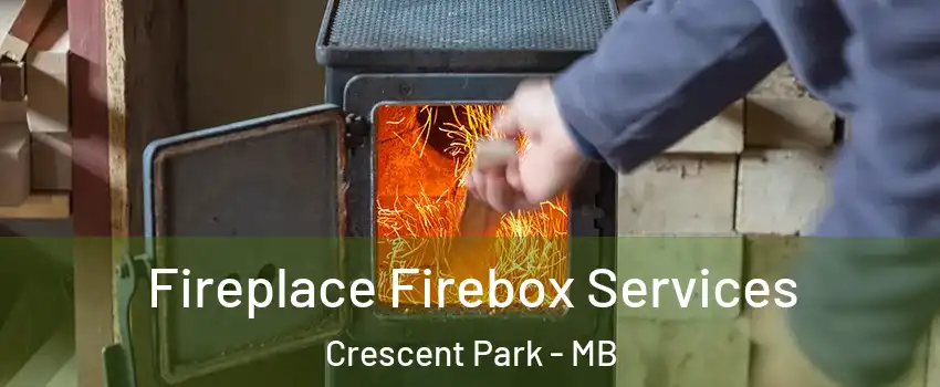  Fireplace Firebox Services Crescent Park - MB