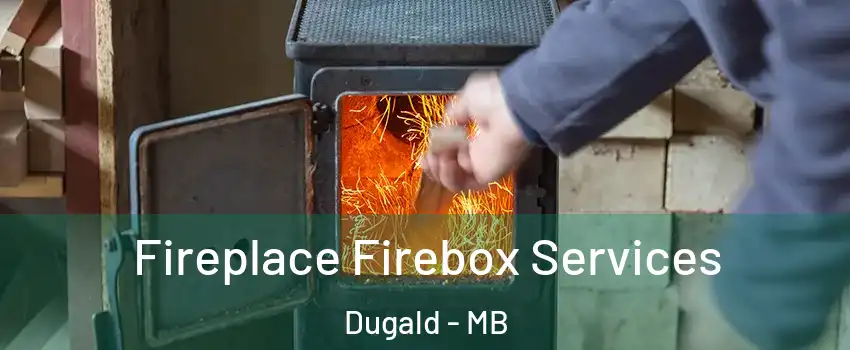 Fireplace Firebox Services Dugald - MB