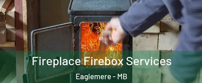  Fireplace Firebox Services Eaglemere - MB