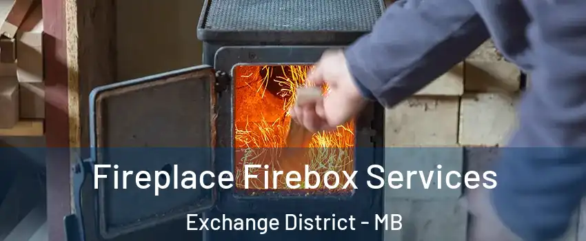  Fireplace Firebox Services Exchange District - MB