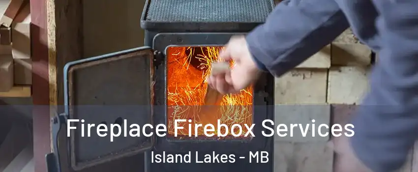  Fireplace Firebox Services Island Lakes - MB
