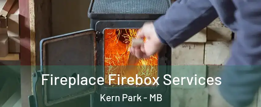  Fireplace Firebox Services Kern Park - MB