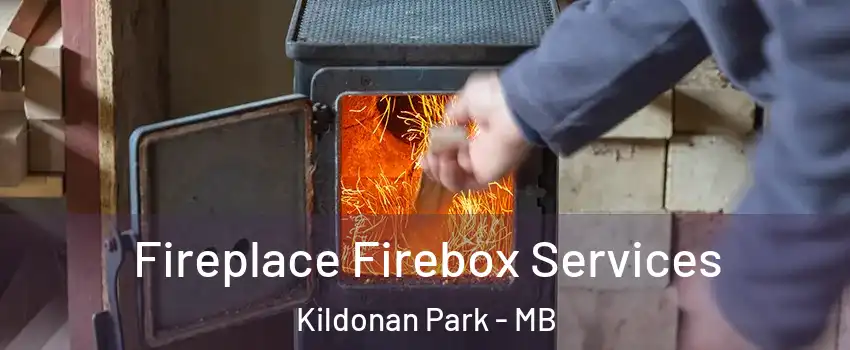  Fireplace Firebox Services Kildonan Park - MB
