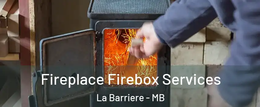  Fireplace Firebox Services La Barriere - MB