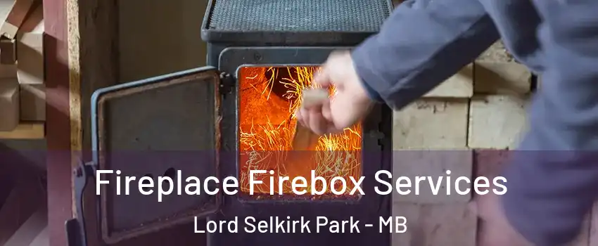  Fireplace Firebox Services Lord Selkirk Park - MB