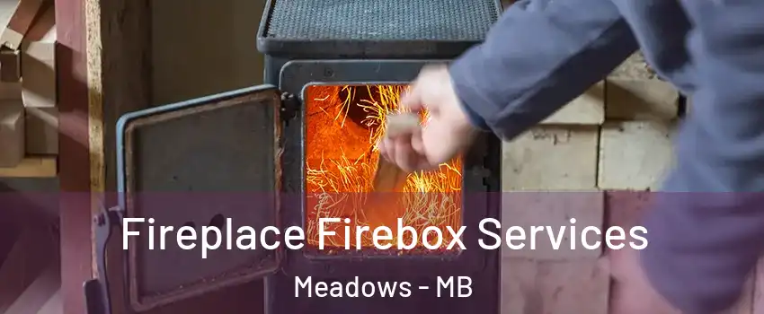  Fireplace Firebox Services Meadows - MB