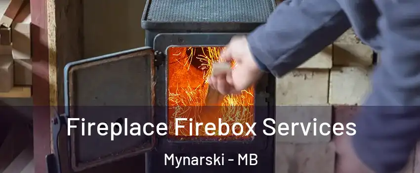  Fireplace Firebox Services Mynarski - MB