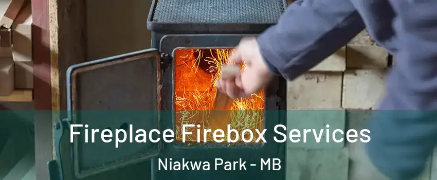  Fireplace Firebox Services Niakwa Park - MB