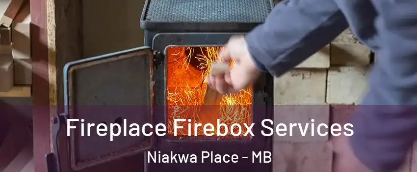  Fireplace Firebox Services Niakwa Place - MB