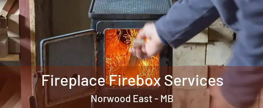  Fireplace Firebox Services Norwood East - MB