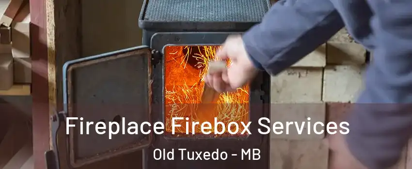  Fireplace Firebox Services Old Tuxedo - MB