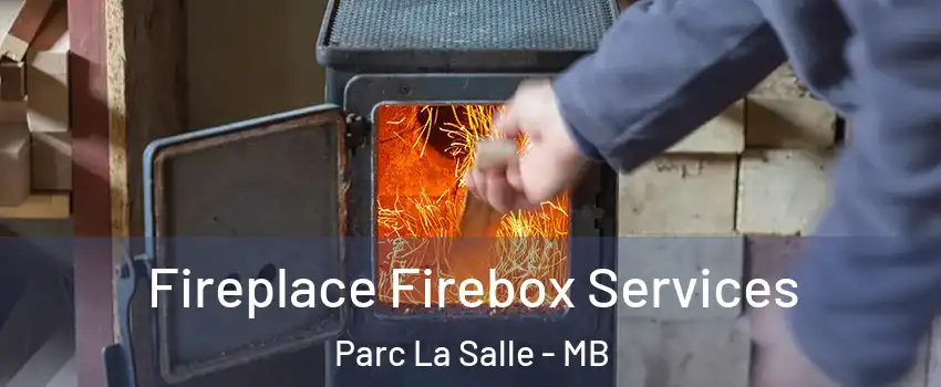  Fireplace Firebox Services Parc La Salle - MB