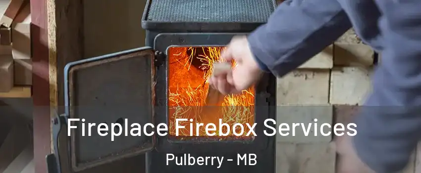 Fireplace Firebox Services Pulberry - MB