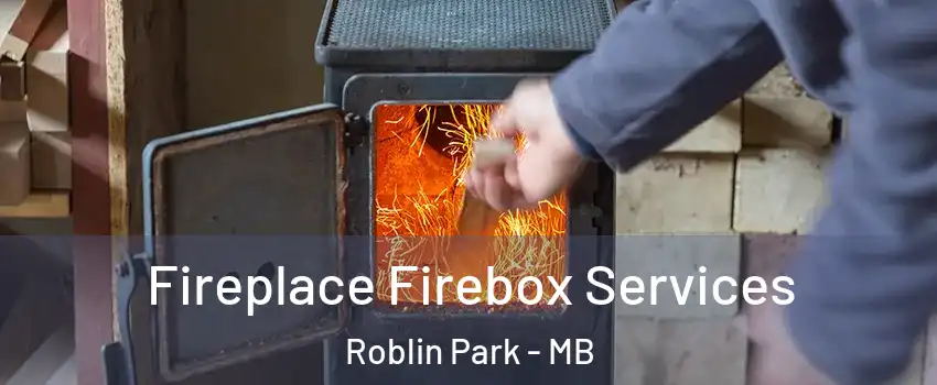  Fireplace Firebox Services Roblin Park - MB