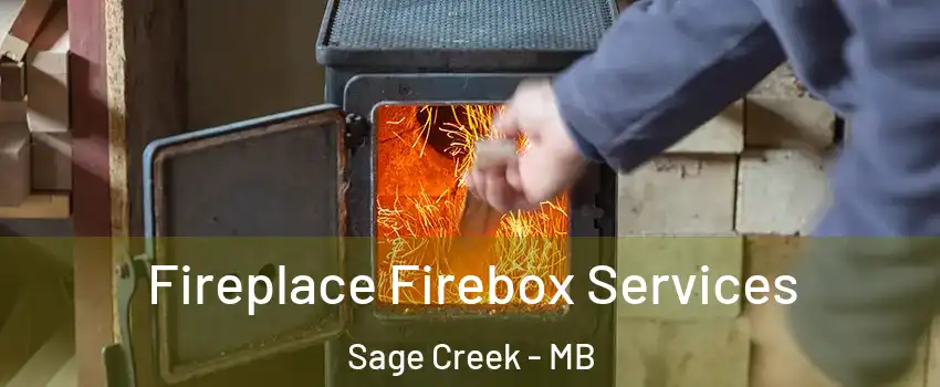  Fireplace Firebox Services Sage Creek - MB