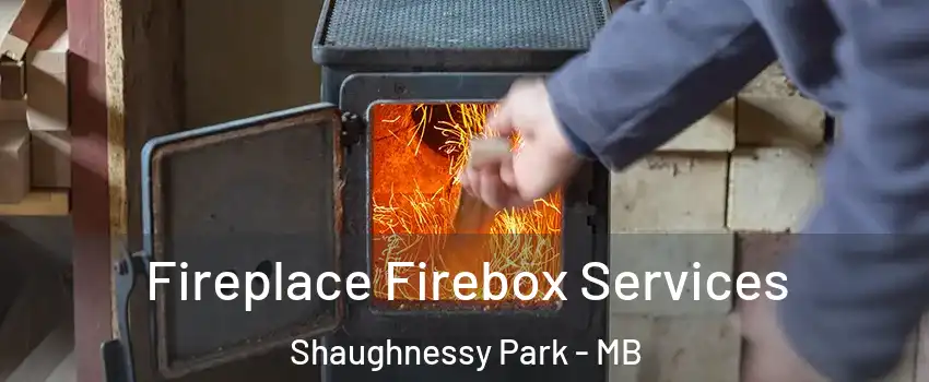  Fireplace Firebox Services Shaughnessy Park - MB