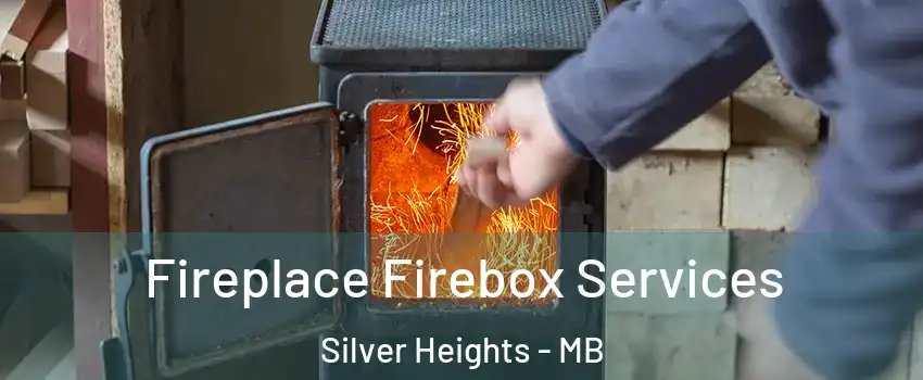  Fireplace Firebox Services Silver Heights - MB