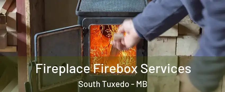  Fireplace Firebox Services South Tuxedo - MB
