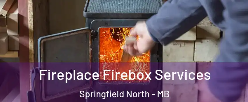  Fireplace Firebox Services Springfield North - MB