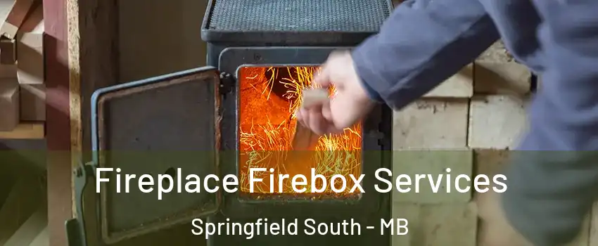  Fireplace Firebox Services Springfield South - MB