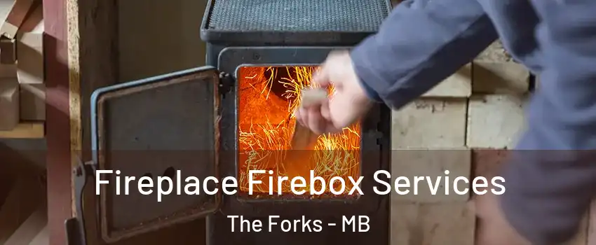  Fireplace Firebox Services The Forks - MB