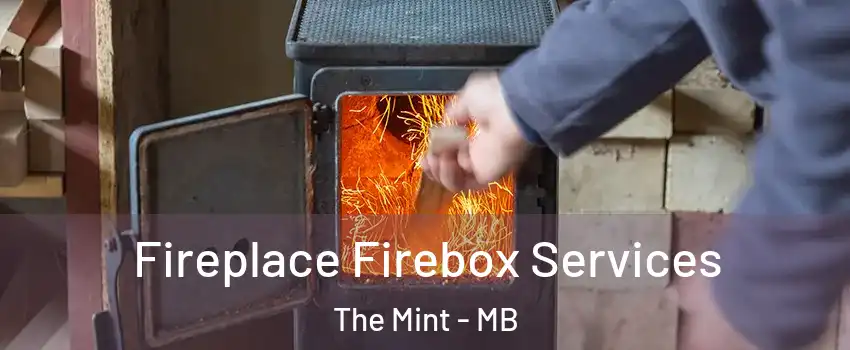  Fireplace Firebox Services The Mint - MB