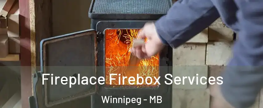  Fireplace Firebox Services Winnipeg - MB