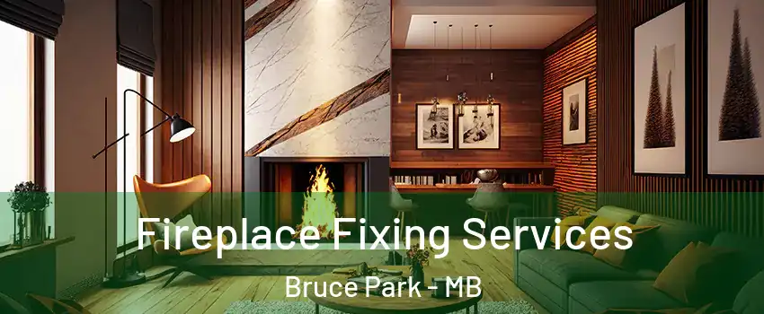  Fireplace Fixing Services Bruce Park - MB
