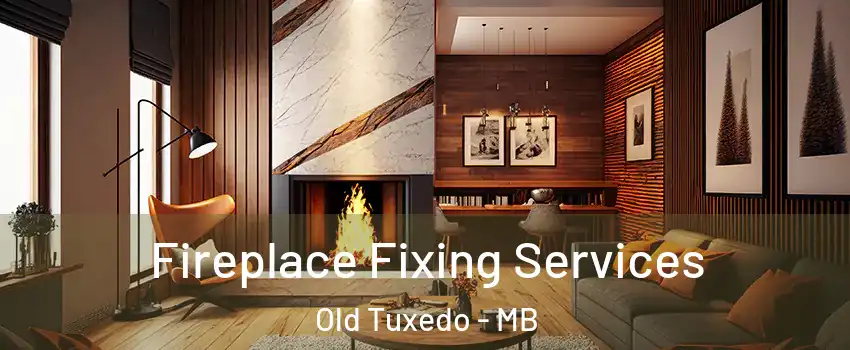  Fireplace Fixing Services Old Tuxedo - MB