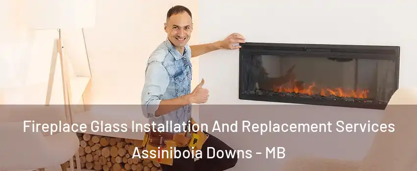  Fireplace Glass Installation And Replacement Services Assiniboia Downs - MB