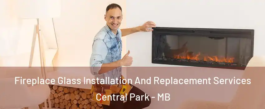  Fireplace Glass Installation And Replacement Services Central Park - MB