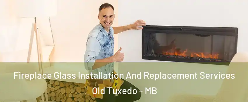  Fireplace Glass Installation And Replacement Services Old Tuxedo - MB