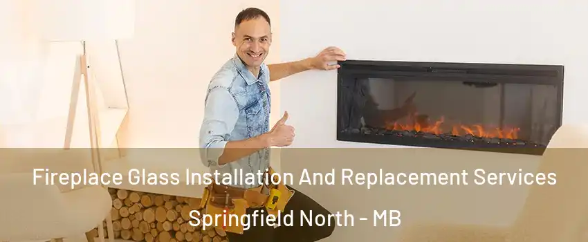  Fireplace Glass Installation And Replacement Services Springfield North - MB