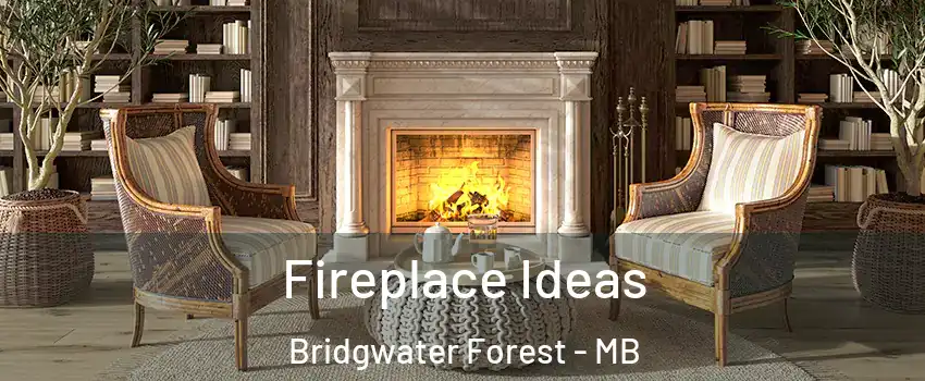  Fireplace Ideas Bridgwater Forest - MB