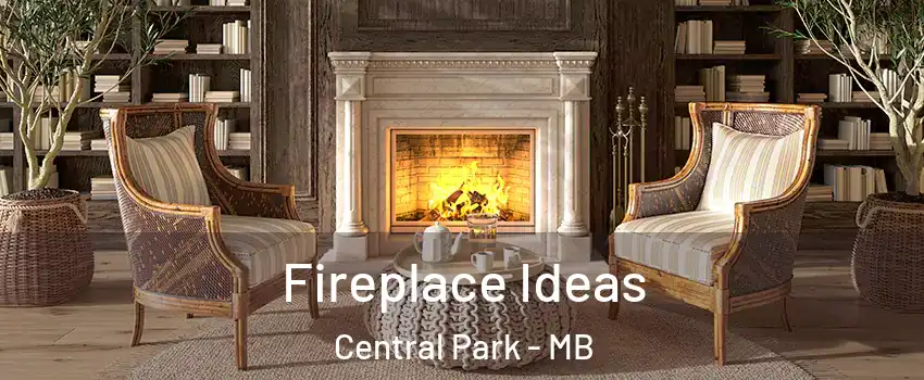  Fireplace Ideas Central Park - MB