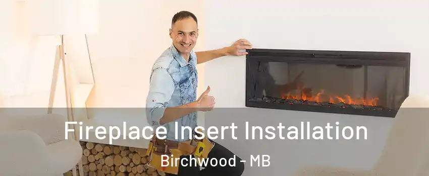  Fireplace Insert Installation Birchwood - MB