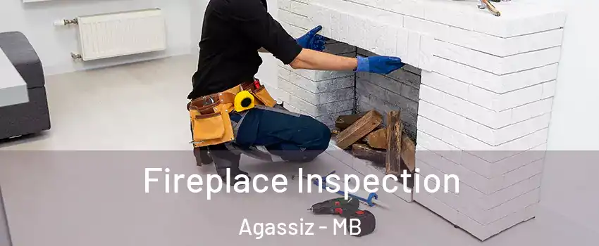  Fireplace Inspection Agassiz - MB