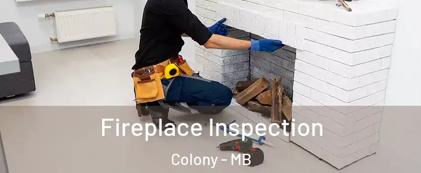  Fireplace Inspection Colony - MB