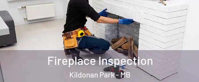  Fireplace Inspection Kildonan Park - MB