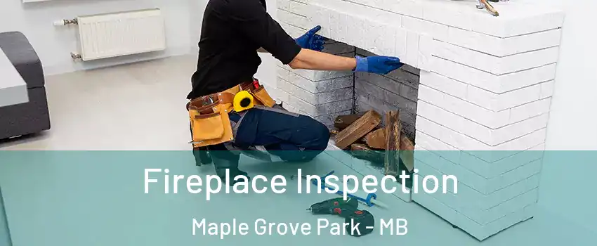  Fireplace Inspection Maple Grove Park - MB