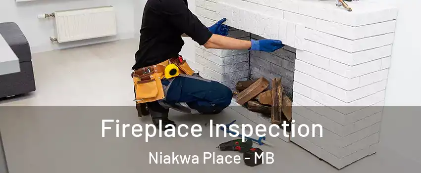  Fireplace Inspection Niakwa Place - MB