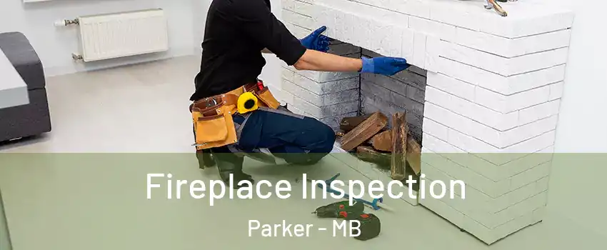  Fireplace Inspection Parker - MB