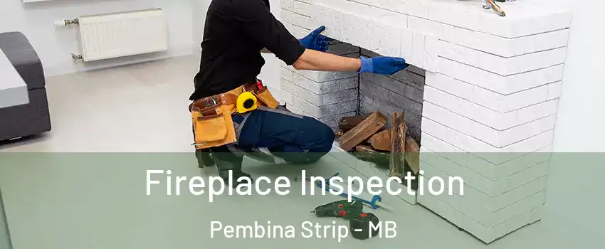  Fireplace Inspection Pembina Strip - MB