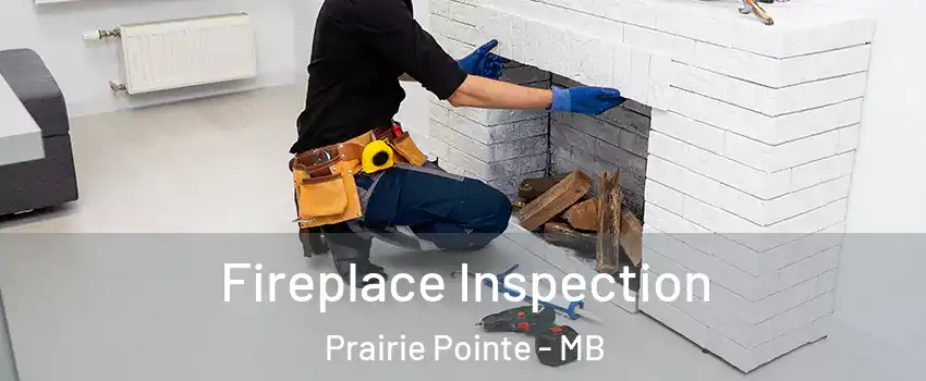  Fireplace Inspection Prairie Pointe - MB