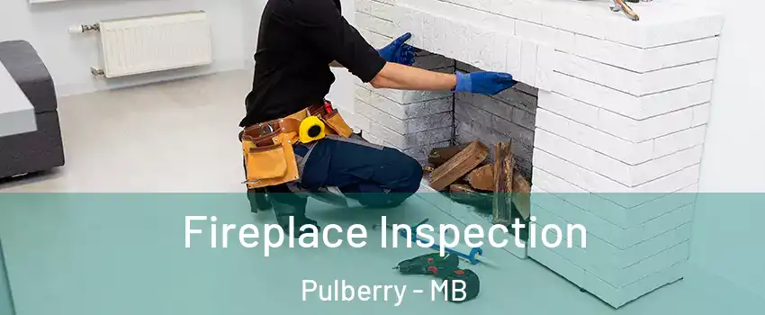  Fireplace Inspection Pulberry - MB
