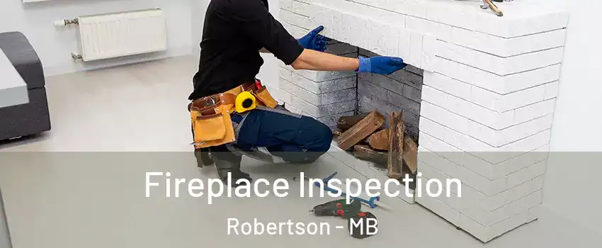  Fireplace Inspection Robertson - MB