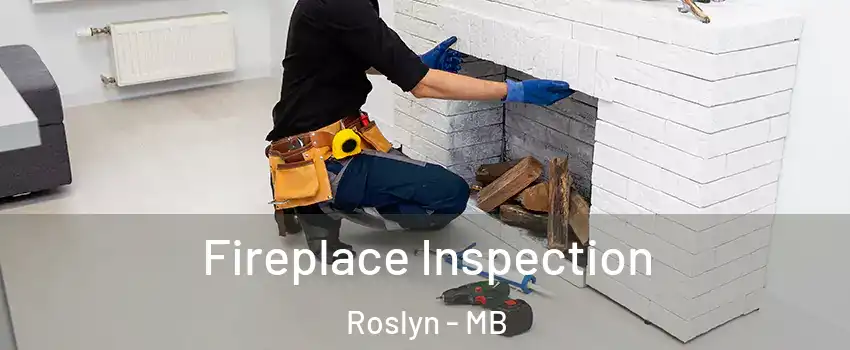  Fireplace Inspection Roslyn - MB