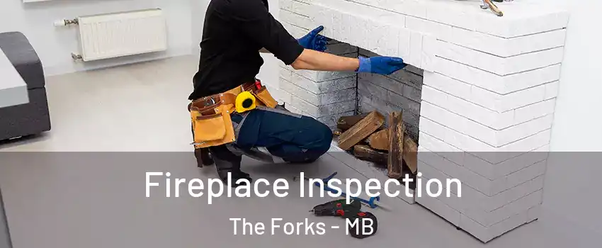  Fireplace Inspection The Forks - MB