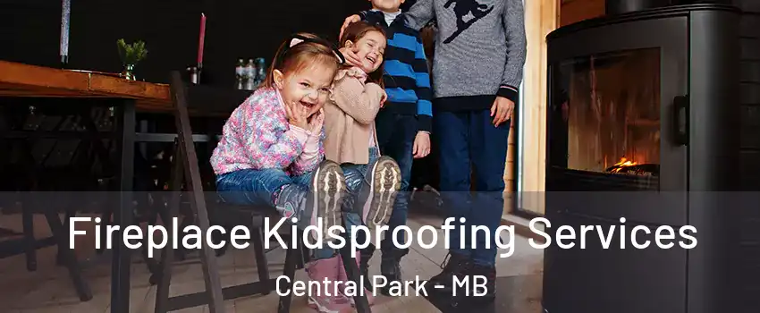  Fireplace Kidsproofing Services Central Park - MB